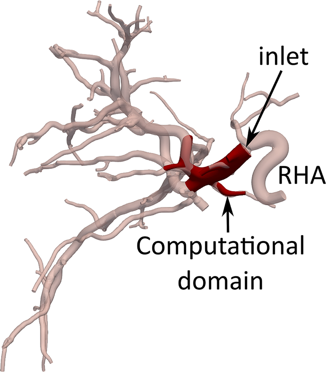 Figure 2 –