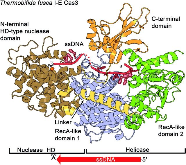 Figure 4.