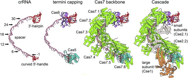 Figure 2.