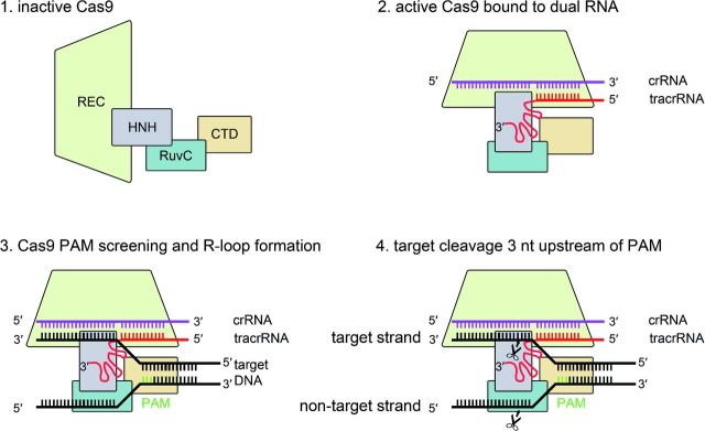 Figure 6.