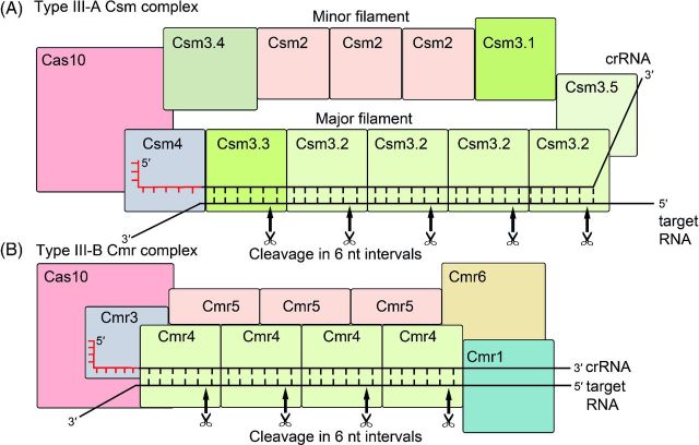 Figure 7.