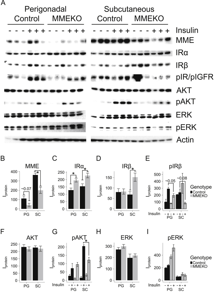 Figure 6