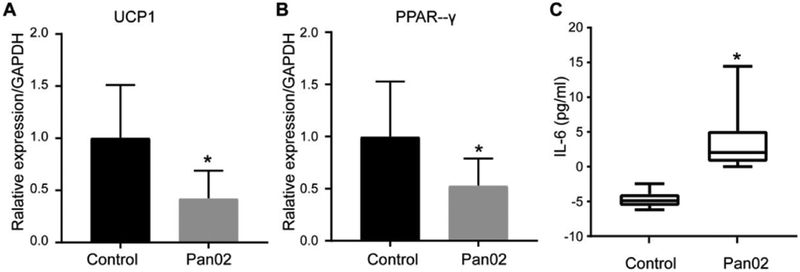 Figure 4: