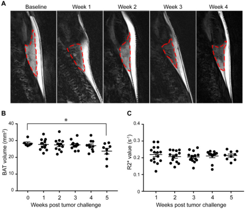 Figure 3: