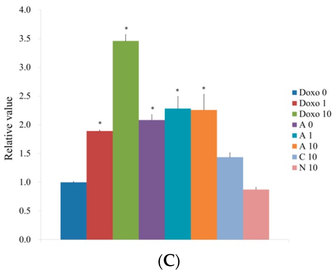 Figure 6