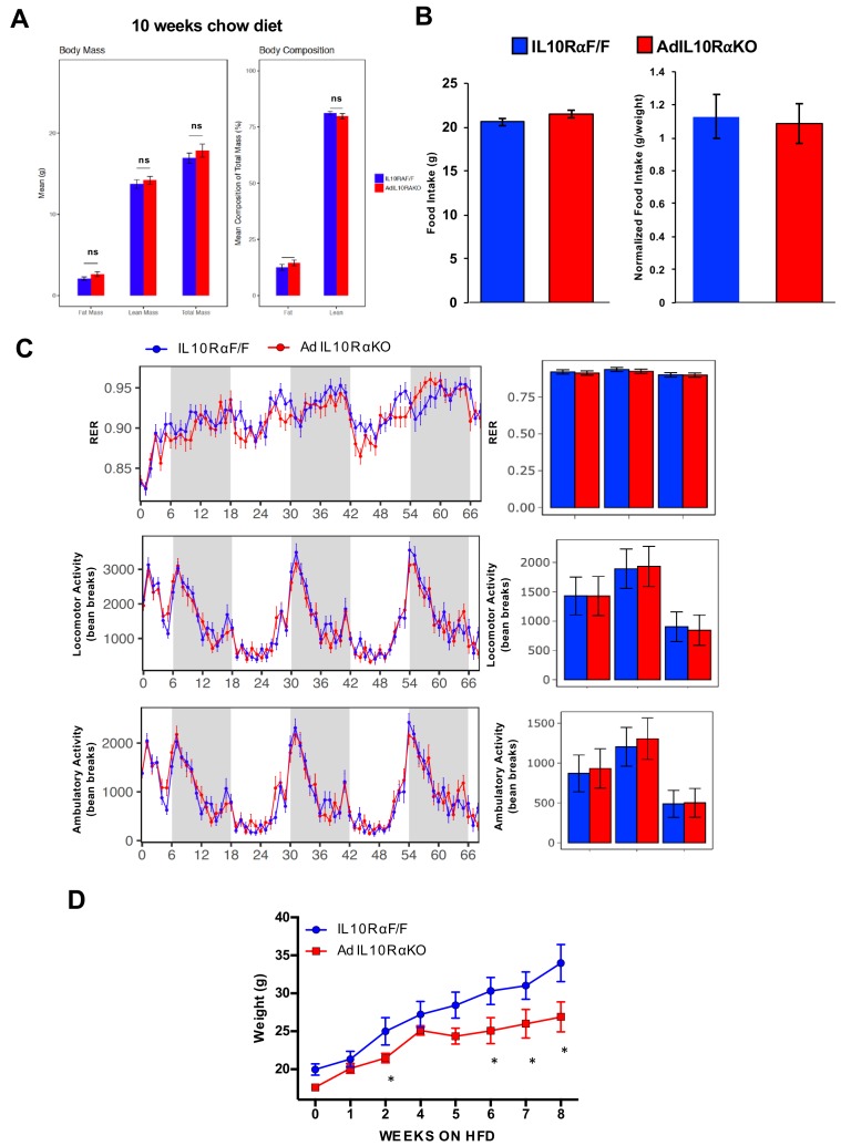 Figure 1—figure supplement 1.