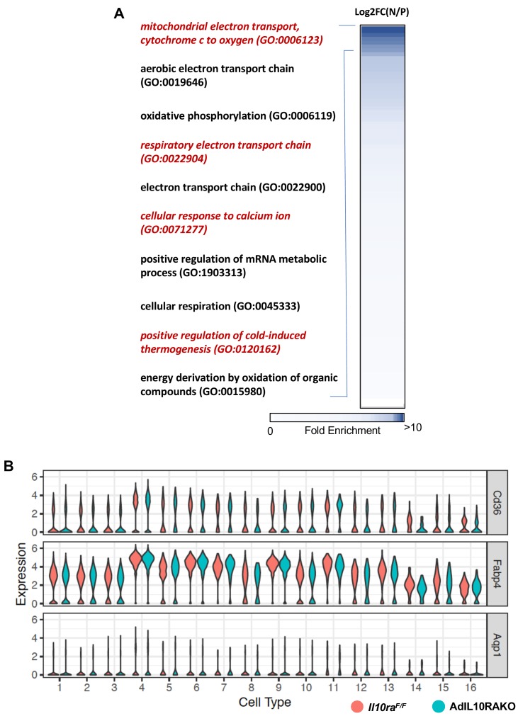 Figure 5—figure supplement 1.