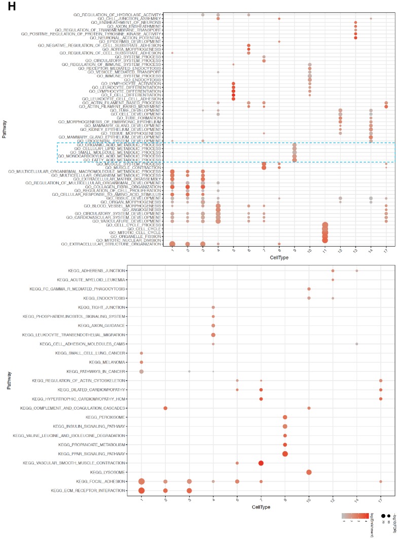 Figure 4—figure supplement 1.