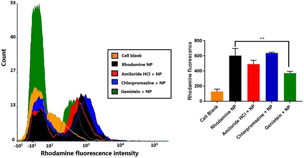 Figure 6: