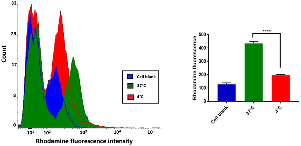 Figure 5: