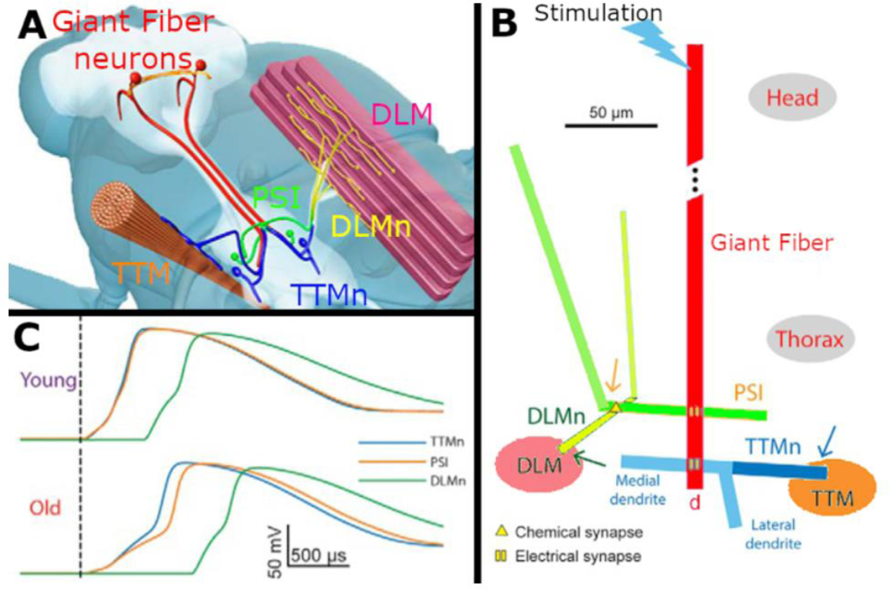 Figure 3: