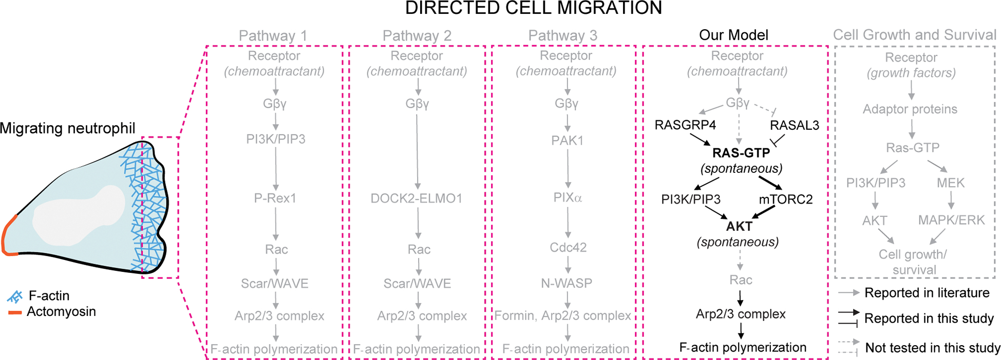 Figure 7.