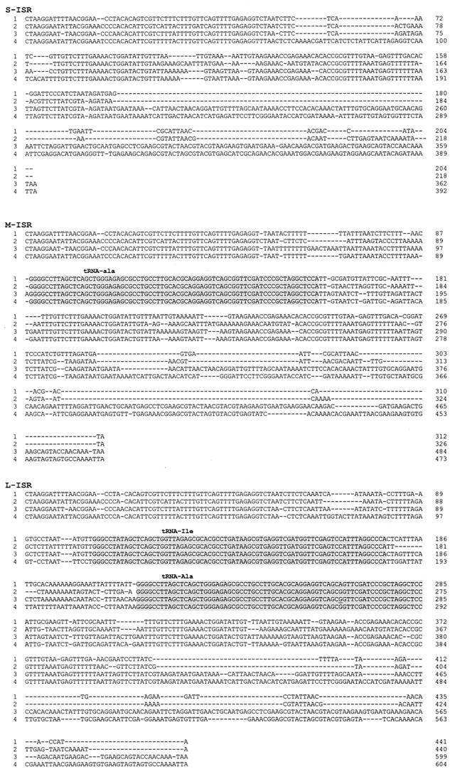 FIG. 2.