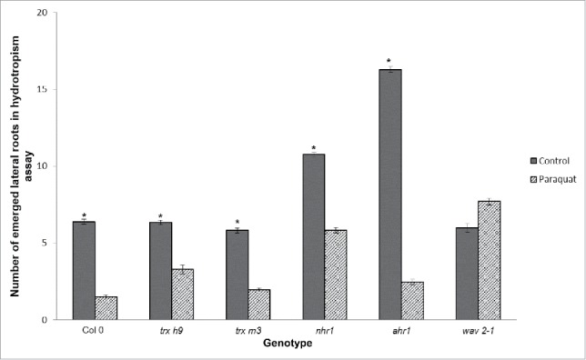 Figure 7.