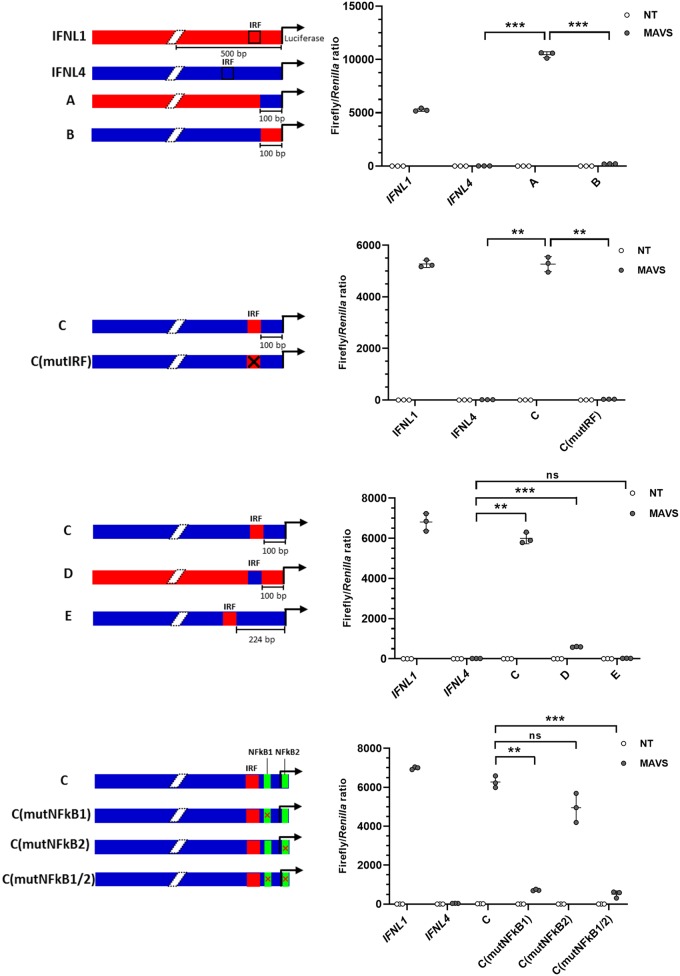 FIG 6