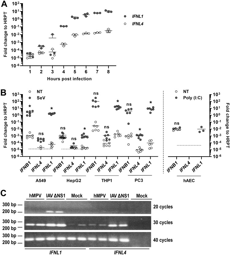 FIG 1