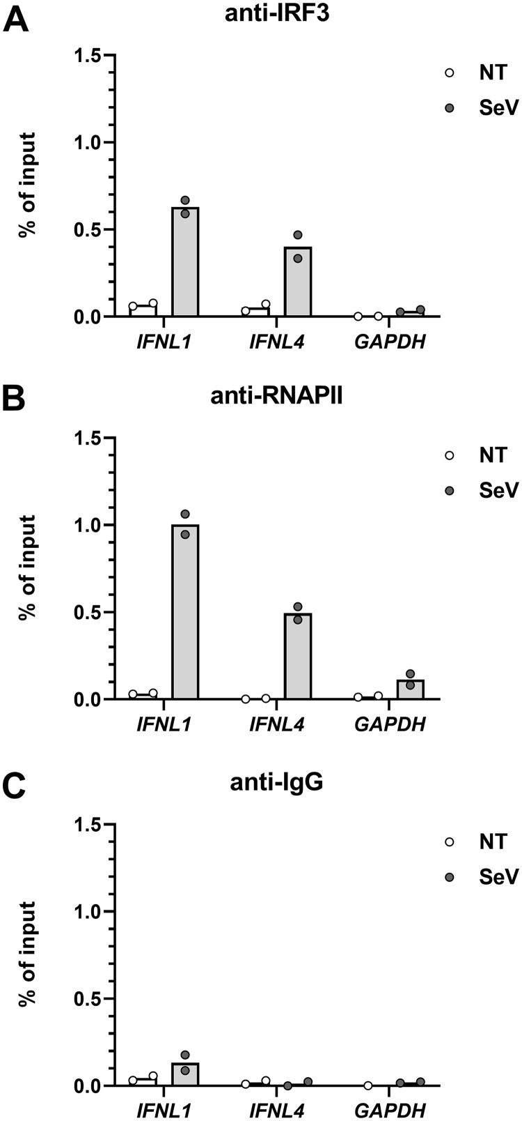 FIG 7