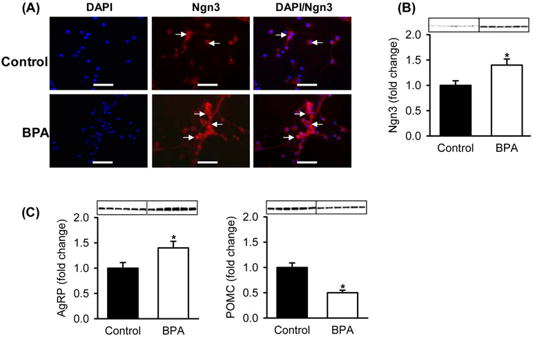 Figure 2: