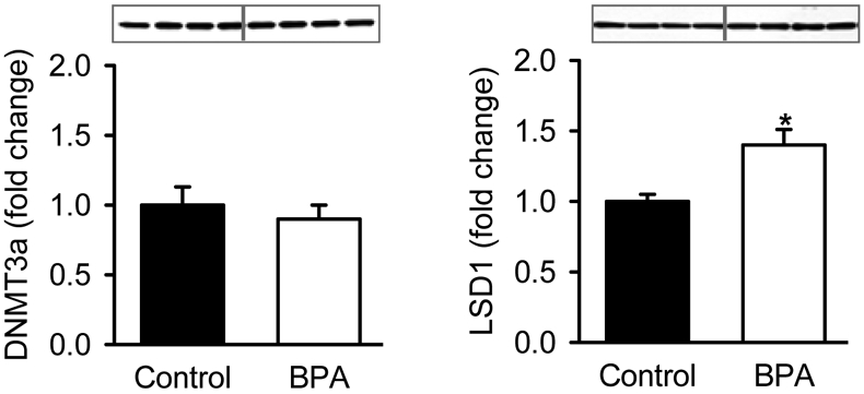 Figure 5: