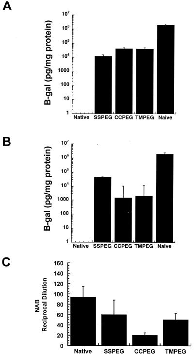 FIG. 7