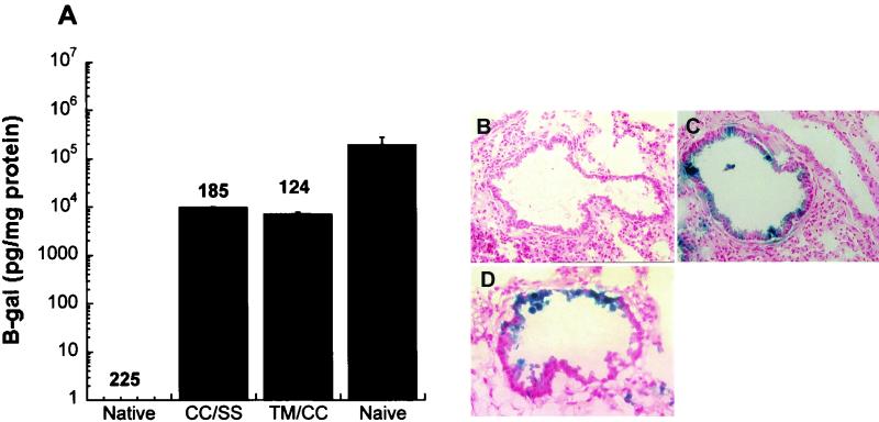 FIG. 9