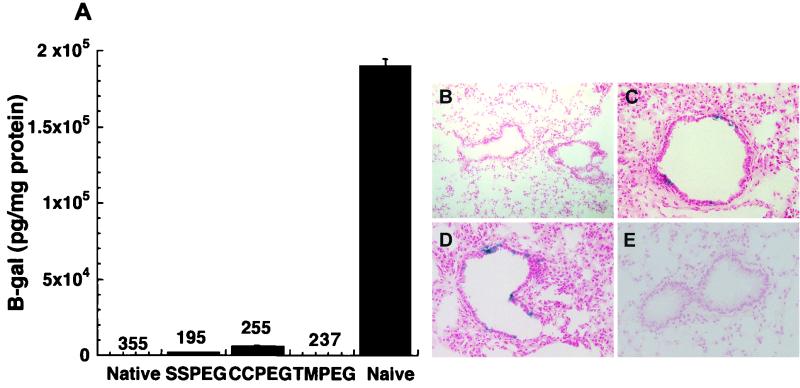 FIG. 8