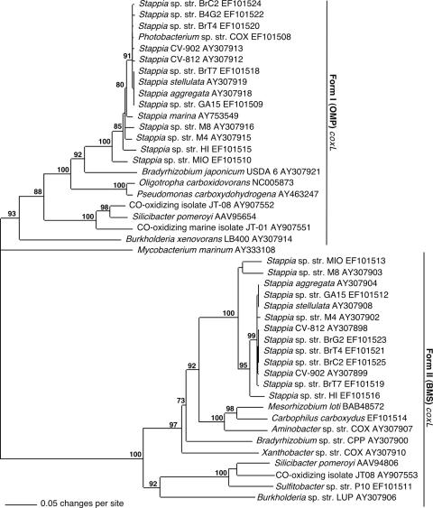 FIG. 5.