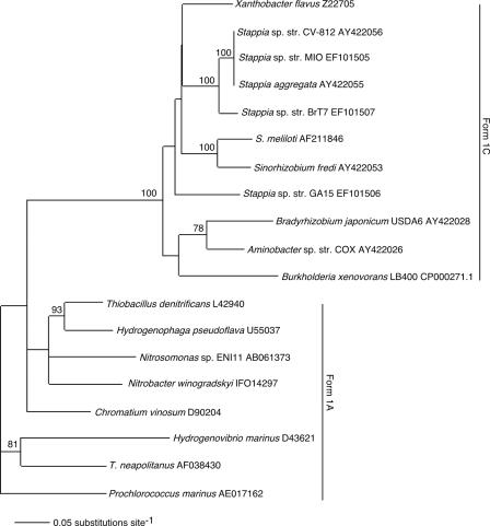 FIG. 6.