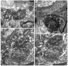 Fig. 9