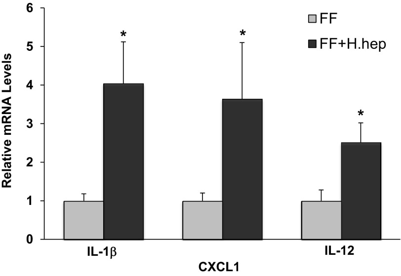 Fig. 5.