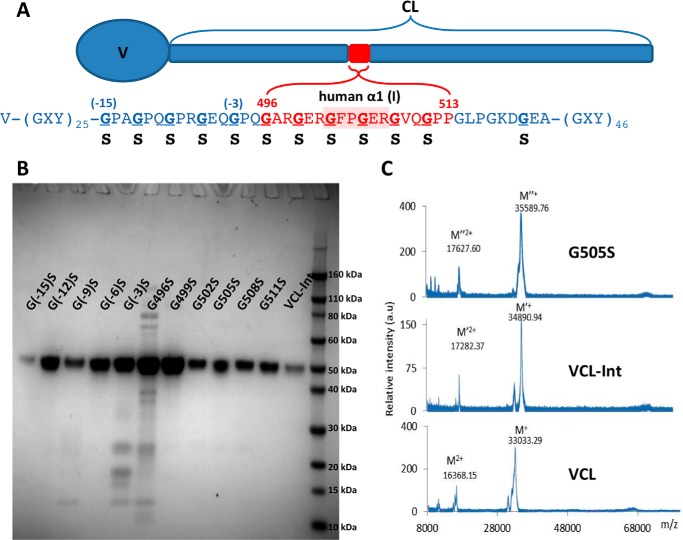 FIGURE 1.