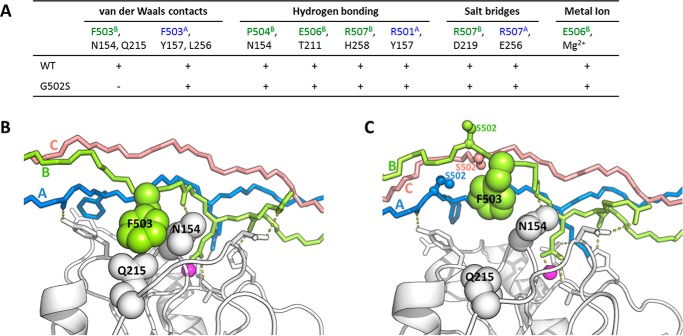 FIGURE 7.