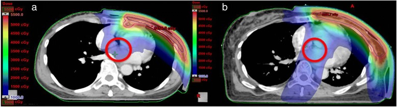 Fig. 8