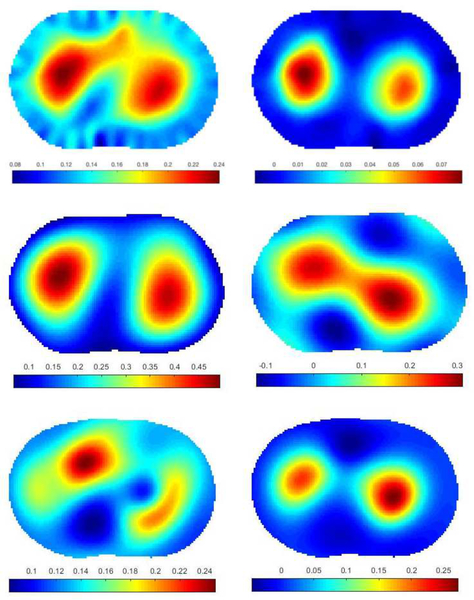 Fig. 10.