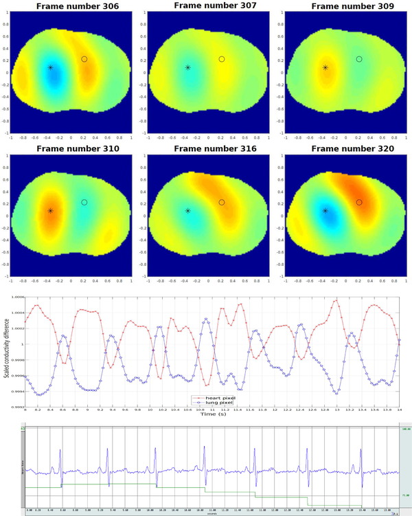 Fig. 13.