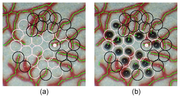 Fig. 9