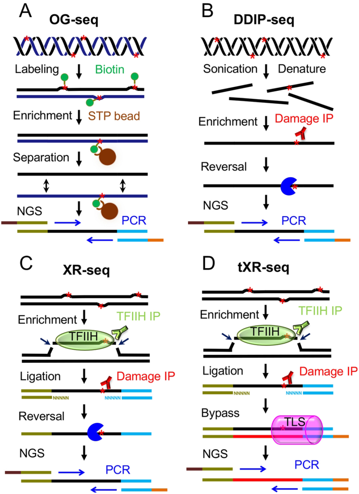 Fig. 2.