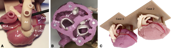 Figure 3