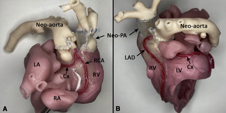 Figure 4