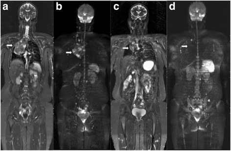 Fig. 8