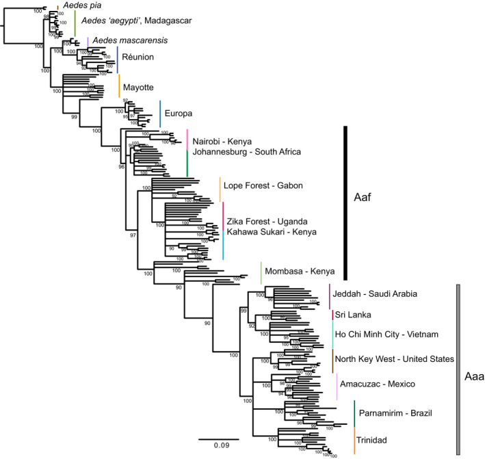 FIGURE 4