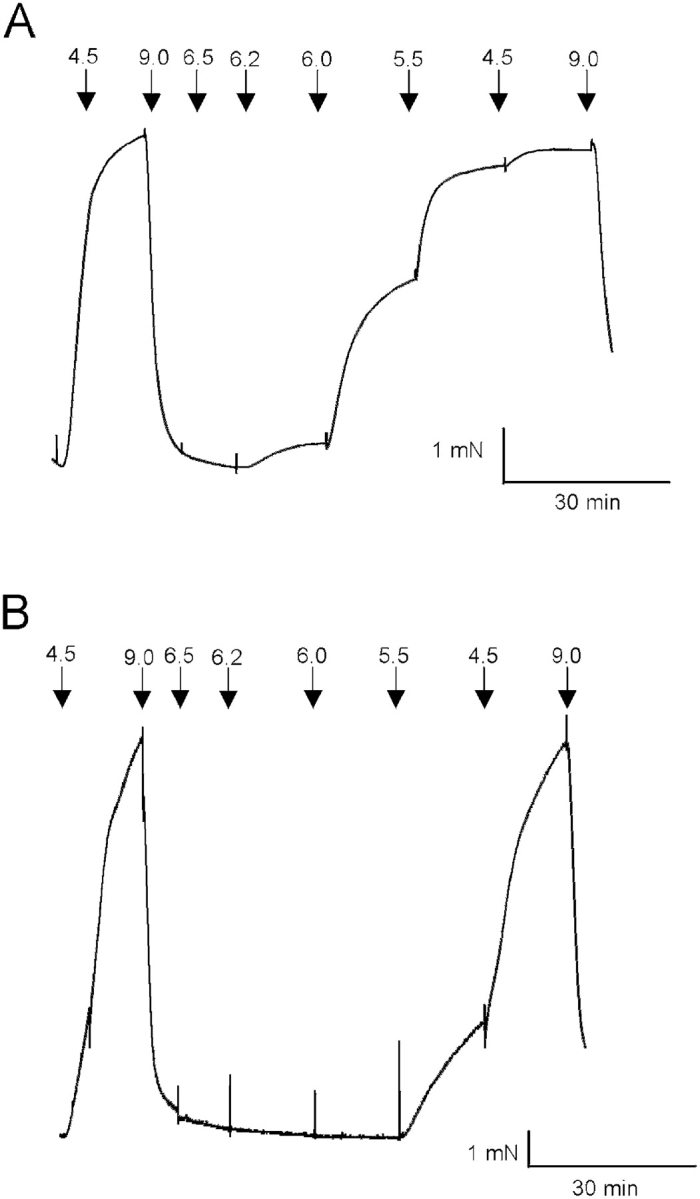 Figure 5. 