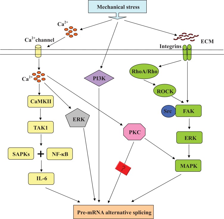 Fig. (3)