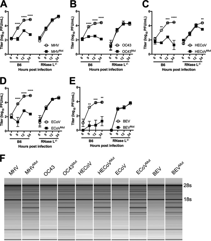 FIG 6