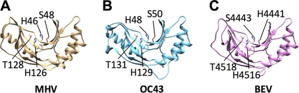 FIG 2