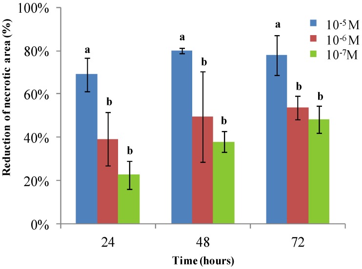 Figure 6