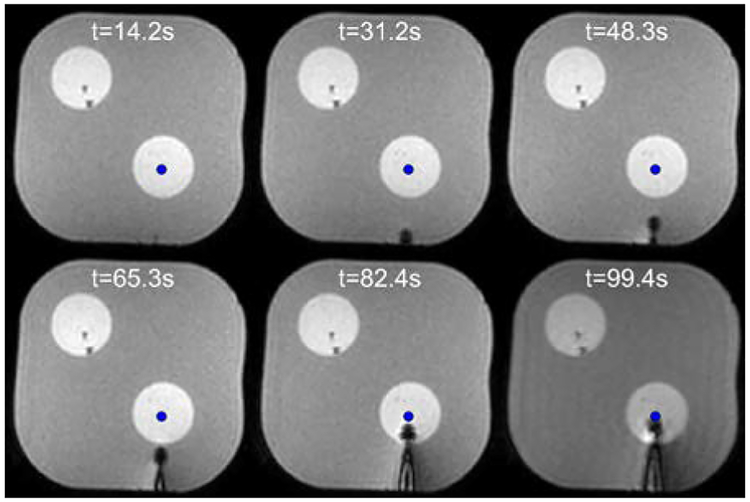 Fig. 10.