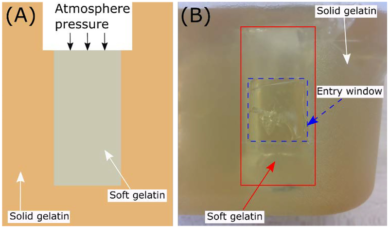 Fig. 11.