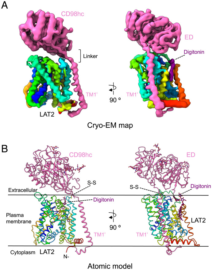 Fig. 1.