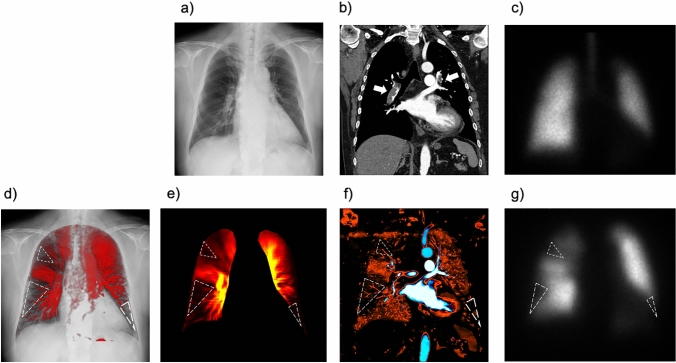 Fig. 8